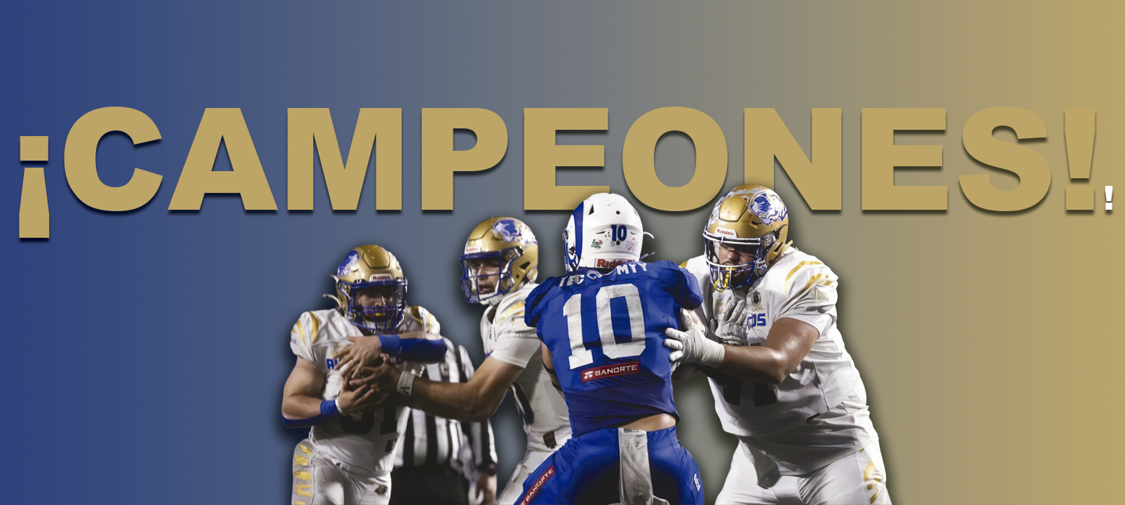 TigresCampeones